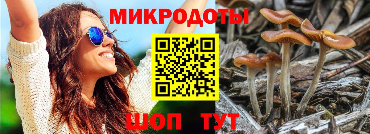 Псилоцибиновые грибы мицелий  купить  сайты  Саяногорск  Вход с VPN 